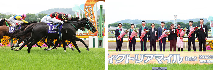 アスコリピチェーノ号;
