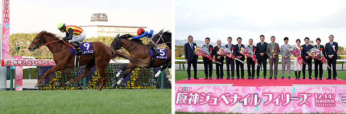 スターアニス号;