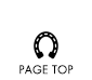 PAGE TOP